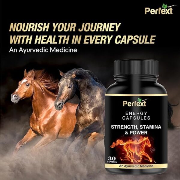 Shilajit Capsules - Image 2